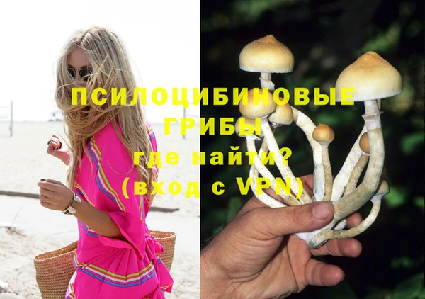 мяу мяу мука Нязепетровск