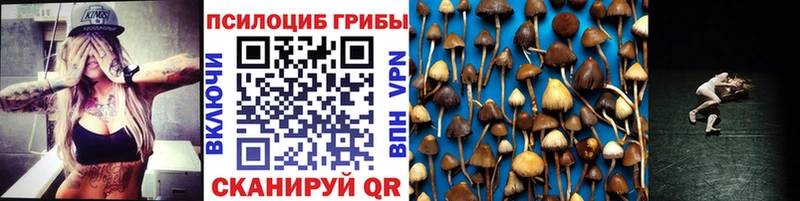 Псилоцибиновые грибы Psilocybine cubensis купить наркотик Пудож
