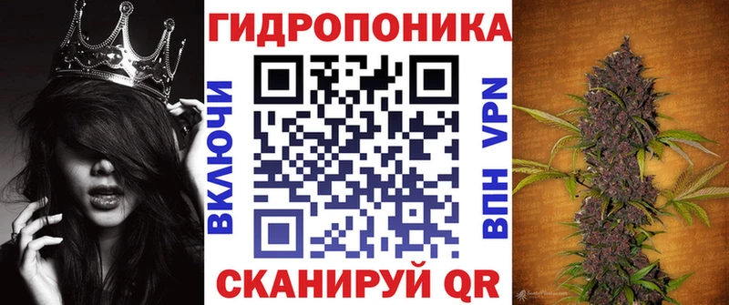 где найти наркотики  Пудож  Каннабис White Widow 